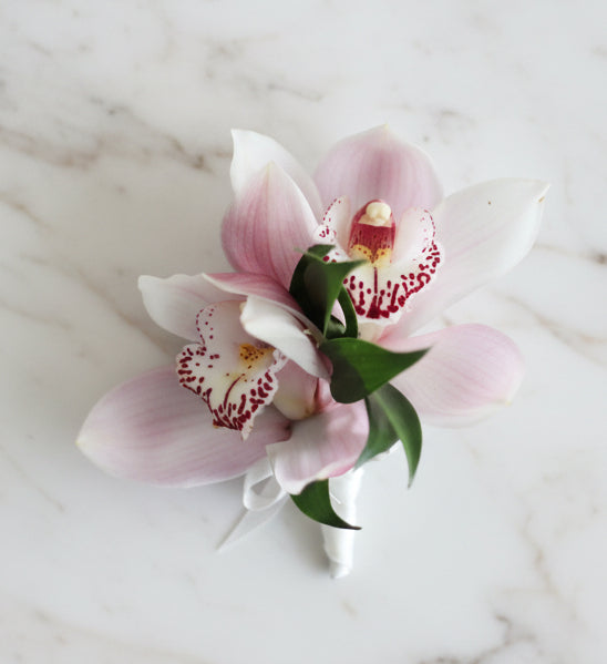 (粉紅色)蕙蘭襟花 Mr.005