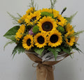 12支向日葵花束 Mr.055