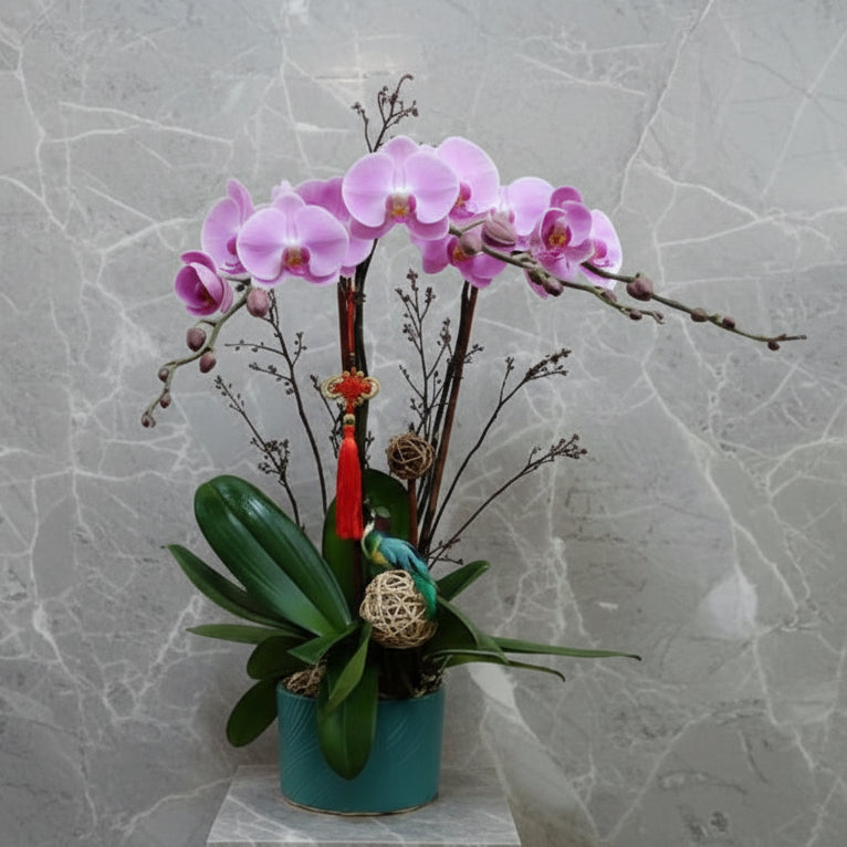 (淺粉)  新張蘭花 -  蝴蝶蘭花3菖盆景  (附送 特式掛飾)  MR.069