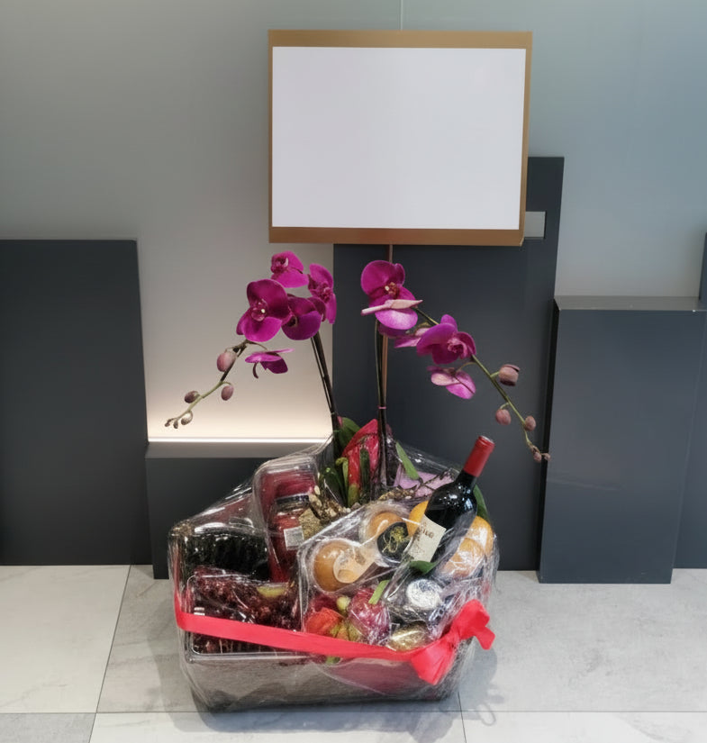 蝴蝶蘭紅酒水果禮籃 Mr.081