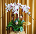 new-year-orchid-office-gift-2026.jpg