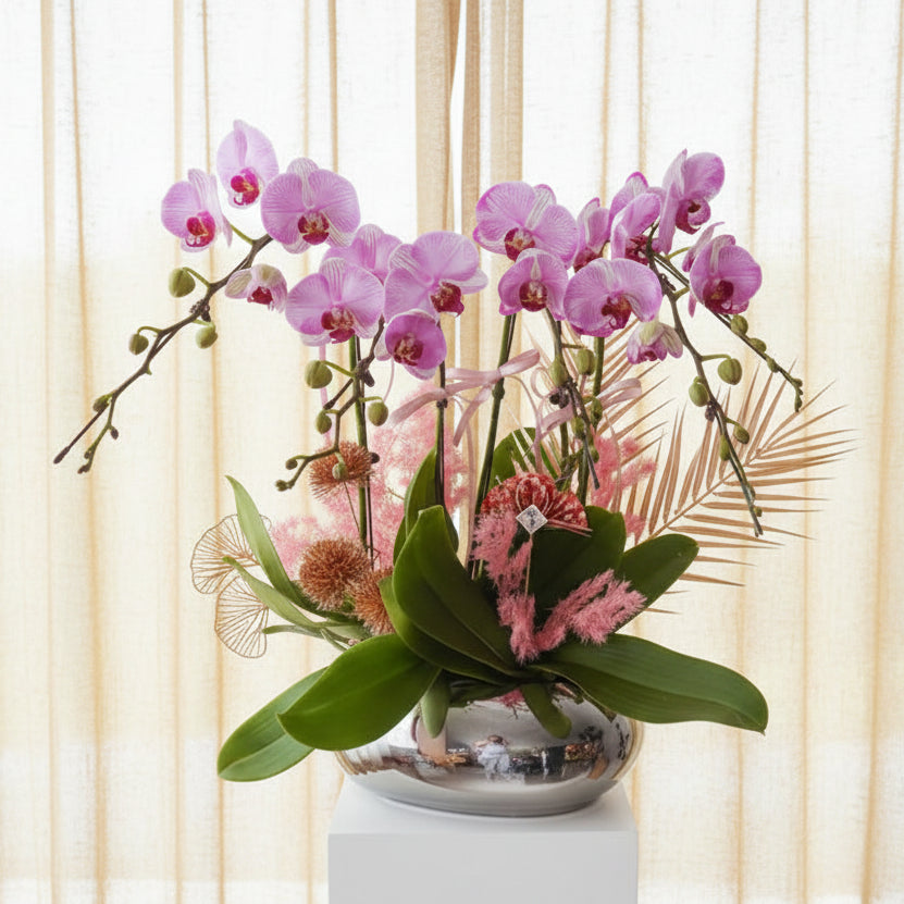 new-year-orchid-office-gift-2026.jpg
