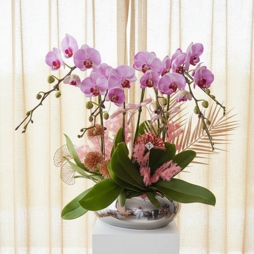 new-year-orchid-office-gift-2026.jpg